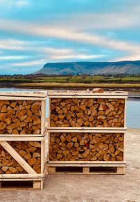 kiln-dried-birch-logs-pallet-jpg